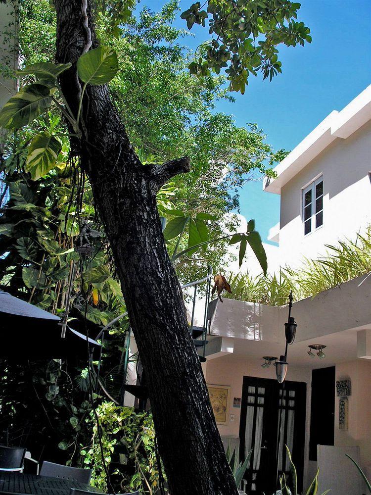 Oceana Hostal Playero San Juan Exterior photo
